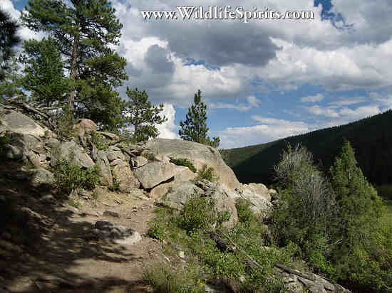Click Picture to send as an  E-PostCard 63k 550x412